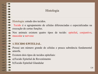 Histologia
Histologia: estudo dos tecidos.
Tecido é o agrupamento de células diferenciadas e especializadas na
execução de certas funções.
Nos animais existem quatro tipos de tecido: epitelial, conjuntivo,
muscular e nervoso
1.TECIDO EPITELIAL.
Possui um número grande de células e pouca substância fundamental
amorfa.
Existem dois tipos de tecidos epiteliais:
a)Tecido Epitelial de Revestimento
b)Tecido Epitelial Glandular
128
 