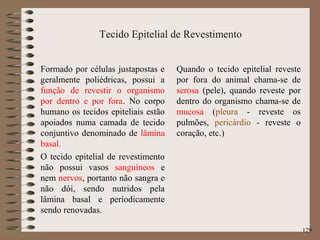 Tecido Epitelial de Revestimento
Formado por células justapostas e
geralmente poliédricas, possui a
função de revestir o organismo
por dentro e por fora. No corpo
humano os tecidos epiteliais estão
apoiados numa camada de tecido
conjuntivo denominado de lâmina
basal.
O tecido epitelial de revestimento
não possui vasos sanguíneos e
nem nervos, portanto não sangra e
não dói, sendo nutridos pela
lâmina basal e periodicamente
sendo renovadas.
Quando o tecido epitelial reveste
por fora do animal chama-se de
serosa (pele), quando reveste por
dentro do organismo chama-se de
mucosa (pleura - reveste os
pulmões, pericárdio - reveste o
coração, etc.)
129
 