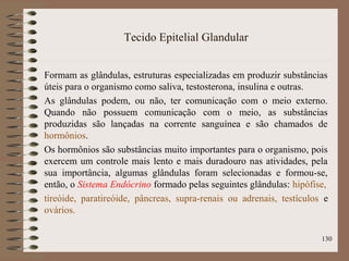 Tecido Epitelial Glandular
Formam as glândulas, estruturas especializadas em produzir substâncias
úteis para o organismo como saliva, testosterona, insulina e outras.
As glândulas podem, ou não, ter comunicação com o meio externo.
Quando não possuem comunicação com o meio, as substâncias
produzidas são lançadas na corrente sanguínea e são chamados de
hormônios.
Os hormônios são substâncias muito importantes para o organismo, pois
exercem um controle mais lento e mais duradouro nas atividades, pela
sua importância, algumas glândulas foram selecionadas e formou-se,
então, o Sistema Endócrino formado pelas seguintes glândulas: hipófise,
tireóide, paratireóide, pâncreas, supra-renais ou adrenais, testículos e
ovários.
130
 