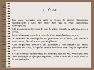 HIPÓFISE
Tem dupla formação, uma parte se origina do cérebro (denominada
neurohipófise) e outra pelo palato duro "céu da boca" (denominada
adenohipófise).
Está alojada numa depressão do osso do crânio chamado de cela turca ou cela
túrcica.
Possui a função de controlar e estimular todas as células do organismo.
Os harmónios da neurohipófise são produzidos, na realidade, pelo cérebro e
armazenados e liberados nesta parte da glândula.
Além de produzir hormônios que estimulam o funcionamento das demais
glândulas do corpo, a hipófise fabrica hormônios com funções específicas,
como:
1.ADH (hormônio antidiurético) este hormônio atua nos rins, promovendo uma
maior reabsorção de água pelo organismo, assim o corpo não a perde muito na
formação da urina.
131
 