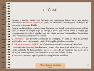 HIPÓFISE
Quando a hipófise produz esse hormônio em quantidades baixas, surge uma doença
denominada de diabetes insípidus, na qual o ser apresentará sede excessiva e formação de
uma urina volumosa e diluída.
Pode-se também inibir a produção desse hormônio com álcool, por exemplo, numa tarde de
calor, ao tomar um simples copo de cerveja, o álcool que contém inibirá o cérebro que,
consequentemente, inibe a hipófise, com isso a água que seria reabsorvida na formação da
urina é eliminada, aumentando o volume.
2 . Ocitocina - este hormônio estimulará as contrações do útero no final da gravidez,
auxiliando o parto e favorecerá a ejeção de leite pelas glândulas mamárias.
3. GH (grow hormony) ou HEC (hormônio estimulante do crescimento)- estimula o
crescimento do organismo. Esse hormônio começa a funcionar desde a idade fetal e têm um
tempo estimado de funcionamento até os 21 anos do ser humano, mas pode haver
variações, às vezes pára de funcionar antes, às vezes até após os 21 anos.
4. Prolactina - estimula a produção de leite nas glândulas mamárias
Alvido Bernardo Muaviraca
2014
133
 