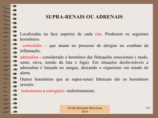 SUPRA-RENAIS OU ADRENAIS
Localizadas na face superior de cada rim. Produzem os seguintes
hormônios:
corticóides – que atuam no processo de alergias no combate da
inflamação,
adrenalina - considerado o hormônio das flutuações emocionais ( medo,
susto, raiva, tensão da luta e fuga). Em situações desfavoráveis a
adrenalina é lançada no sangue, deixando o organismo em estado de
alerta.
Outros hormônios que as supra-renais fabricam são os hormônios
sexuais:
testosterona e estrogênio -indistintamente.
Alvido Bernardo Muaviraca
2014
137
 