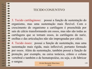 TECIDO CONJUNTIVO
3. Tecido cartilaginoso: possui a função de sustentação do
organismo, mas uma sustentação mais flexível. Com o
crescimento do organismo a cartilagem é preenchida por
sais de cálcio transformando em ossos, mas não são todas as
cartilagens que se tornam ossos, às cartilagens do nariz,
orelhas e das articulações não são impregnadas por cálcio.
4. Tecido ósseo: possui a função de sustentação, mas uma
sustentação mais rígida, mais inflexível, portanto formado
por ossos. Além da sustentação, também possui a função de
proteção, por exemplo, na caixa torácica, crânio e coluna
vertebral e também o de hematopoiése, ou seja, o de fabricar
o sangue. Alvido Bernardo Muaviraca
2014
139
 