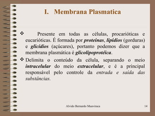 I. Membrana Plasmatica
 Presente em todas as células, procarióticas e
eucarióticas. É formada por proteínas, lipídios (gorduras)
e glicídios (açúcares), portanto podemos dizer que a
membrana plasmática é glicolipoprotéica.
 Delimita o conteúdo da célula, separando o meio
intracelular do meio extracelular, e é a principal
responsável pelo controle da entrada e saída das
substâncias.
14Alvido Bernardo Muaviraca
 