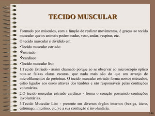 TECIDO MUSCULARTECIDO MUSCULAR
Formado por músculos, com a função de realizar movimentos, é graças ao tecido
muscular que os animais podem nadar, voar, andar, respirar, etc.
O tecido muscular é dividido em:
•Tecido muscular estriado:
estriado
cardíaco
•Tecido muscular liso.
1.Tecido Estriado - assim chamado porque ao se observar ao microscópio óptico
nota-se faixas claras escuras, que nada mais são do que um arranjo de
microfilamentos de proteínas. O tecido muscular estriado forma nossos músculos,
estão ligados aos ossos através dos tendões e são responsáveis pelas contrações
voluntárias.
2.O tecido muscular estriado cardíaco - forma o coração possuindo contrações
involuntárias.
3.Tecido Muscular Liso - presente em diversos órgãos internos (bexiga, útero,
estômago, intestino, etc.) e a sua contração é involuntária.
146
 
