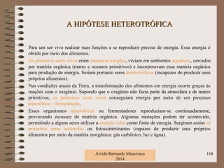 A HIPÓTESE HETEROTRÓFICAA HIPÓTESE HETEROTRÓFICA
Para um ser vivo realizar suas funções e se reproduzir precisa de energia. Essa energia é
obtida por meio dos alimentos.
Os primeiros seres vivos eram estruturas simples, viviam em ambientes aquáticos, cercados
por matéria orgânica (mares e oceanos primitivos) e incorporavam essa matéria orgânica
para produção de energia. Seriam portanto seres heterotróficos (incapazes de produzir seus
próprios alimentos).
Nas condições atuais da Terra, a transformação dos alimentos em energia ocorre graças às
reações com o oxigênio. Supondo que o oxigênio não fazia parte da atmosfera e de mares
primitivos, os primeiros seres vivos conseguiam energia por meio de um processo
anaeróbico – fermentação.
Esses organismos anaeróbicos ou fermentadores reproduziam-se continuadamente,
provocando escassez de matéria orgânica. Algumas mutações podem ter acontecido,
permitindo a alguns seres utilizar a energia solar como fonte de energia. Surgiram assim os
primeiros seres autótrofos ou fotossintetizantes (capazes de produzir seus próprios
alimentos por meio da matéria inorgânica: gás carbônico, luz e água).
Alvido Bernardo Muaviraca
2014
168
 