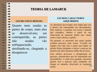 TEORIA DE LAMARCKTEORIA DE LAMARCK
LEI DO USO E DESUSOLEI DO USO E DESUSO
Quanto mais usadas as
partes do corpo, mais elas
se desenvolvem; em
contrapartida, as partes
não usadas vão
enfraquecendo,
atrofiando-se, chegando a
desaparecer.
LEI DOS CARACTERES
ADQUIRIDOS
As alterações provocadas num órgão pelo uso
e desuso são transmitidas aos descendentes.
Para explicar e justificar sua teoria, Lamarck
deu exemplos, obtidos a partir de sua
observação da natureza; dentre eles, temos
como o mais clássico a girafa.
No passado, os ancestrais das atuais girafas
exibiam pescoços mais curtos. Vivendo em
regiões com solo seco e quase sem capim, as
girafas foram obrigadas a esticar o pescoço na
tentativa de obter alimento (folha das árvores).
Esse esforço provocou o alongamento do
pescoço, característica que foi transmitida aos
descendentes. A cada nova geração, nasceram
girafas com o pescoço mais comprido, até
chegar ao tamanho observado no momento
actual. 175
 