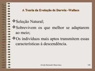 A Teoria da Evolução de Darwin -WallaceA Teoria da Evolução de Darwin -Wallace
Seleção Natural;
Sobrevivem os que melhor se adaptarem
ao meio;
Os indivíduos mais aptos transmitem essas
características à descendência.
Alvido Bernardo Muaviraca 180
 