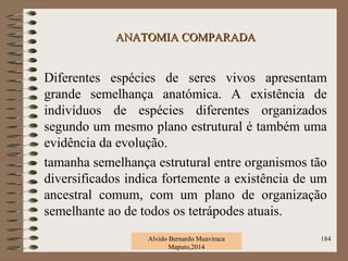 ANATOMIA COMPARADAANATOMIA COMPARADA
Diferentes espécies de seres vivos apresentam
grande semelhança anatómica. A existência de
indivíduos de espécies diferentes organizados
segundo um mesmo plano estrutural é também uma
evidência da evolução.
tamanha semelhança estrutural entre organismos tão
diversificados indica fortemente a existência de um
ancestral comum, com um plano de organização
semelhante ao de todos os tetrápodes atuais.
Alvido Bernardo Muaviraca
Maputo,2014
184
 
