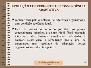 EVOLUÇÃO CONVERGENTE OU CONVERGÊNCIAEVOLUÇÃO CONVERGENTE OU CONVERGÊNCIA
ADAPTATIVAADAPTATIVA
 caracterizada pela adaptação de diferentes organismos a
uma condição ecológica igual.
 Ex.: as formas do corpo do golfinho, dos peixes,
especialmente tubarões, e de um réptil fóssil chamado
ictiossauro são bastante semelhantes, adaptadas à
natação. Neste caso, a semelhança não é sinal de
parentesco, mas resultado da adaptação desses
organismos ao ambiente aquático.
Alvido Bernardo Muaviraca
2014
187
 