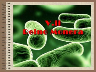 V.iiV.ii
Reino MoneraReino Monera
 