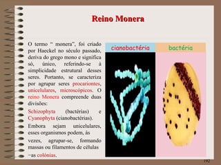 Reino MoneraReino Monera
O termo “ monera”, foi criado
por Haeckel no século passado,
deriva do grego mono e significa
só, único, referindo-se à
simplicidade estrutural desses
seres. Portanto, se caracteriza
por agrupar seres procariontes,
unicelulares, microscópicos. O
reino Monera compreende duas
divisões:
Schizophyta (bactérias) e
Cyanophyta (cianobactérias).
Embora sejam unicelulares,
esses organismos podem, às
vezes, agrupar-se, formando
massas ou filamentos de células
−as colónias.
192
cianobactéria bactéria
 