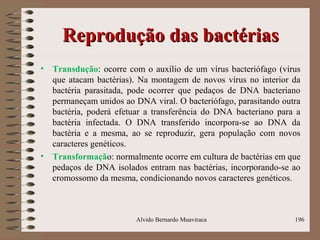 Reprodução das bactériasReprodução das bactérias
• Transdução: ocorre com o auxílio de um vírus bacteriófago (vírus
que atacam bactérias). Na montagem de novos vírus no interior da
bactéria parasitada, pode ocorrer que pedaços de DNA bacteriano
permaneçam unidos ao DNA viral. O bacteriófago, parasitando outra
bactéria, poderá efetuar a transferência do DNA bacteriano para a
bactéria infectada. O DNA transferido incorpora-se ao DNA da
bactéria e a mesma, ao se reproduzir, gera população com novos
caracteres genéticos.
• Transformação: normalmente ocorre em cultura de bactérias em que
pedaços de DNA isolados entram nas bactérias, incorporando-se ao
cromossomo da mesma, condicionando novos caracteres genéticos.
Alvido Bernardo Muaviraca 196
 