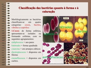 Classificação das bactérias quanto à forma e àClassificação das bactérias quanto à forma e à
coloraçãocoloração
Morfologicamente as bactérias
classificam-se em quatro
categorias: cocos, bacilos,
vibriões e espirilos:
1.Cocos: de forma esférica,
apresentam-se isolados ou
formando colônias, com os
seguintes agrupamentos:
a)diplococos = aos pares
b)tétrades = forma quadrada
c)sarcina = em arranjos cúbicos
d)estreptococos = dispostos em
fileiras
e)estafilococos = dispostos em
cachos.
197
diplococos
tétrades
sarcina
estreptococos estafilococos
 