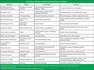 Alvido Bernardo Muaviraca 200
 