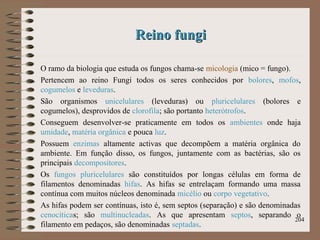 Reino fungiReino fungi
O ramo da biologia que estuda os fungos chama-se micologia (mico = fungo).
Pertencem ao reino Fungi todos os seres conhecidos por bolores, mofos,
cogumelos e leveduras.
São organismos unicelulares (leveduras) ou pluricelulares (bolores e
cogumelos), desprovidos de clorofila; são portanto heterótrofos.
Conseguem desenvolver-se praticamente em todos os ambientes onde haja
umidade, matéria orgânica e pouca luz.
Possuem enzimas altamente activas que decompõem a matéria orgânica do
ambiente. Em função disso, os fungos, juntamente com as bactérias, são os
principais decompositores.
Os fungos pluricelulares são constituídos por longas células em forma de
filamentos denominadas hifas. As hifas se entrelaçam formando uma massa
contínua com muitos núcleos denominada micélio ou corpo vegetativo.
As hifas podem ser contínuas, isto é, sem septos (separação) e são denominadas
cenocíticas; são multinucleadas. As que apresentam septos, separando o
filamento em pedaços, são denominadas septadas.
204
 