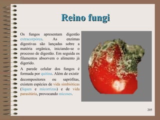Reino fungiReino fungi
Os fungos apresentam digestão
extracorpórea. As enzimas
digestivas são lançadas sobre a
matéria orgânica, iniciando-se o
processo de digestão. Em seguida os
filamentos absorvem o alimento já
digerido.
A parede celular dos fungos é
formada por quitina. Além de existir
decompositores ou saprófitas,
existem espécies de vida simbióticas
(líquen e micorrizas) e de vida
parasitária, provocando micoses.
205
 