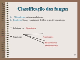Classificação dos fungosClassificação dos fungos
1. Mixomicetos: os fungos gelatinosos
2. Eumicetos(fungos verdadeiros): dividem-se em diversas classes:
 Inferiores → Ficomicetos
 Superiores Ascomicetos
Basidiomicetos
Deuteromicetos
207
 