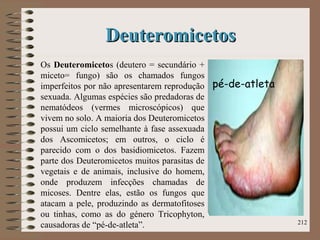 DeuteromicetosDeuteromicetos
Os Deuteromicetos (deutero = secundário +
miceto= fungo) são os chamados fungos
imperfeitos por não apresentarem reprodução
sexuada. Algumas espécies são predadoras de
nematódeos (vermes microscópicos) que
vivem no solo. A maioria dos Deuteromicetos
possui um ciclo semelhante à fase assexuada
dos Ascomicetos; em outros, o ciclo é
parecido com o dos basidiomicetos. Fazem
parte dos Deuteromicetos muitos parasitas de
vegetais e de animais, inclusive do homem,
onde produzem infecções chamadas de
micoses. Dentre elas, estão os fungos que
atacam a pele, produzindo as dermatofitoses
ou tinhas, como as do género Tricophyton,
causadoras de “pé-de-atleta”. 212
pé-de-atleta
 