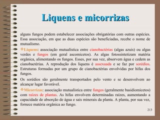 Liquens e micorrizasLiquens e micorrizas
alguns fungos podem estabelecer associações obrigatórias com outras espécies.
Essa associação, em que as duas espécies são beneficiadas, recebe o nome de
mutualismo.
Liquens: associação mutualística entre cianobactérias (algas azuis) ou algas
verdes e fungos (em geral ascomicetos). As algas fotossintetizam matéria
orgânica, alimentando os fungos. Esses, por sua vez, absorvem água e cedem as
cianobactérias. A reprodução dos liquens é assexuada e se faz por sorédios.
Estruturas formadas por um grupo de cianobactérias envolvidas por hifas dos
fungos.
Os sorédios são geralmente transportados pelo vento e se desenvolvem ao
alcançar lugar favorável.
Micorrizas: associação mutualística entre fungos (geralmente basidiomicetos)
com raízes de plantas. As hifas envolvem determinadas raízes, aumentando a
capacidade de absorção de água e sais minerais da planta. A planta, por sua vez,
fornece matéria orgânica ao fungo.
213
 