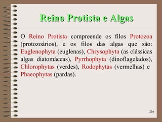 Reino Protista e AlgasReino Protista e Algas
O Reino Protista compreende os filos Protozoa
(protozoários), e os filos das algas que são:
Euglenophyta (euglenas), Chrysophyta (as clássicas
algas diatomáceas), Pyrrhophyta (dinoflagelados),
Chlorophytas (verdes), Rodophytas (vermelhas) e
Phaeophytas (pardas).
216
 
