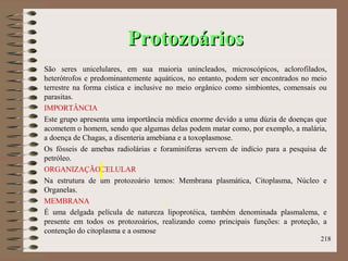 ProtozoáriosProtozoários
São seres unicelulares, em sua maioria unincleados, microscópicos, aclorofilados,
heterótrofos e predominantemente aquáticos, no entanto, podem ser encontrados no meio
terrestre na forma cística e inclusive no meio orgânico como simbiontes, comensais ou
parasitas.
IMPORTÂNCIA
Este grupo apresenta uma importância médica enorme devido a uma dúzia de doenças que
acometem o homem, sendo que algumas delas podem matar como, por exemplo, a malária,
a doença de Chagas, a disenteria amebiana e a toxoplasmose.
Os fósseis de amebas radiolárias e foraminíferas servem de indício para a pesquisa de
petróleo.
ORGANIZAÇÃOCELULAR
Na estrutura de um protozoário temos: Membrana plasmática, Citoplasma, Núcleo e
Organelas.
MEMBRANA
É uma delgada película de natureza lipoprotéica, também denominada plasmalema, e
presente em todos os protozoários, realizando como principais funções: a proteção, a
contenção do citoplasma e a osmose
218
 