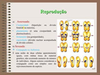 ReproduçãoReprodução
a) Assexuada:
• Cissiparidade (bipartição ou divisão
bináriab na maioria),
• plasmotomia (é uma cissiparidade em
plurinucleados),
• brotamento (ou gemiparidade),
• esporulação (divisão nuclear acompanhada
de divisão celular).
b) Sexuada:
 Conjugação ou Anfimixia
É uma união de duas células aparentemente
iguais, com mútua troca de material
genético, não ocorrendo aumento do número
de indivíduos. AIguns autores consideram a
conjugação como um simples caso de
rejuvenescimento da espécie.
223
 