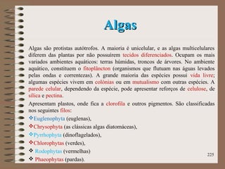AlgasAlgas
Algas são protistas autótrofos. A maioria é unicelular, e as algas multicelulares
diferem das plantas por não possuírem tecidos diferenciados. Ocupam os mais
variados ambientes aquáticos: terras húmidas, troncos de árvores. No ambiente
aquático, constituem o fitoplâncton (organismos que flutuam nas águas levados
pelas ondas e correntezas). A grande maioria das espécies possui vida livre;
algumas espécies vivem em colónias ou em mutualismo com outras espécies. A
parede celular, dependendo da espécie, pode apresentar reforços de celulose, de
sílica e pectina.
Apresentam plastos, onde fica a clorofila e outros pigmentos. São classificadas
nos seguintes filos:
Euglenophyta (euglenas),
Chrysophyta (as clássicas algas diatomáceas),
Pyrrhophyta (dinoflagelados),
Chlorophytas (verdes),
 Rodophytas (vermelhas)
 Phaeophytas (pardas).
225
 