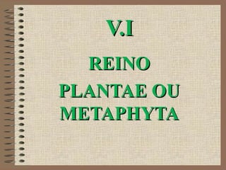 V.IV.I
REINOREINO
PLANTAE OUPLANTAE OU
METAPHYTAMETAPHYTA
 