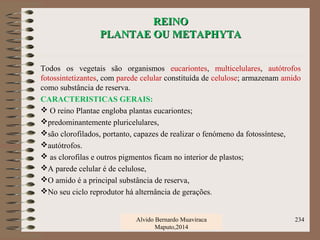 REINOREINO
PLANTAE OU METAPHYTAPLANTAE OU METAPHYTA
Todos os vegetais são organismos eucariontes, multicelulares, autótrofos
fotossintetizantes, com parede celular constituída de celulose; armazenam amido
como substância de reserva.
CARACTERISTICAS GERAIS:
 O reino Plantae engloba plantas eucariontes;
predominantemente pluricelulares,
são clorofilados, portanto, capazes de realizar o fenómeno da fotossíntese,
autótrofos.
 as clorofilas e outros pigmentos ficam no interior de plastos;
A parede celular é de celulose,
O amido é a principal substância de reserva,
No seu ciclo reprodutor há alternância de gerações.
Alvido Bernardo Muaviraca
Maputo,2014
234
 