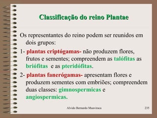 Classificação do reino PlantaeClassificação do reino Plantae
Os representantes do reino podem ser reunidos em
dois grupos:
1- plantas criptógamas- não produzem flores,
frutos e sementes; compreendem as talófitas as
briófitas e as pteridófitas.
2- plantas fanerógamas- apresentam flores e
produzem sementes com embriões; compreendem
duas classes: gimnospermicas e
angiospermicas.
Alvido Bernardo Muaviraca 235
 