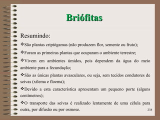 BriófitasBriófitas
Resumindo:
São plantas criptógamas (não produzem flor, semente ou fruto);
Foram as primeiras plantas que ocuparam o ambiente terrestre;
Vivem em ambientes úmidos, pois dependem da água do meio
ambiente para a fecundação;
São as únicas plantas avasculares, ou seja, sem tecidos condutores de
seivas (xilema e floema);
Devido a esta característica apresentam um pequeno porte (alguns
centímetros);
O transporte das seivas é realizado lentamente de uma célula para
outra, por difusão ou por osmose. 238
 