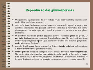 Reprodução das gimnospermasReprodução das gimnospermas
 O esporófito é a geração mais desenvolvida (E > G) e é representado pela planta (raiz,
caule, folha, estróbilos e sementes);
 A fecundação do óvulo ocorre dentro da oosfera; os sexos são separados: a que possui
estróbilos masculinos não possuem estróbilos femininos e vice-versa. Em outras
gimnospermas, os dois tipos de estróbilos podem ocorrer numa mesma planta
(minóico);
 O estróbilo masculino produz pequenos esporos chamados grãos de pólen. O
estróbilo feminino produz estruturas denominadas óvulos. No interior de um óvulo
maduro surge um grande esporo , que desenvolve e forma uma estrutura que guarda a
oosfera,(o gâmeta feminino).
 um grão de pólen pode formar uma espécie de tubo, (o tubo polínico), onde se origina
o núcleo espermático(o gâmeta masculino ).
 O tubo polínico cresce até alcançar o óvulo, no qual introduz o núcleo espermático.
No interior do óvulo, o núcleo espermático fecunda a oosfera, formando o zigoto.
Este, por sua vez, se desenvolve, originando um embrião. À medida que o embrião se
forma, o óvulo se transforma em semente, estrutura que contém e protege o embrião.
243
 