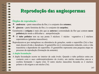 Reprodução das angiospermasReprodução das angiospermas
Órgãos de reprodução :
 androceu – parte masculina da flor, é o conjunto dos estames;
 gineceu – parte feminina da flor, é o conjunto de carpelos;
Geralmente o estigma é mais alto que as anteras ( extremidade da flor que contem sacos
polínico),de modo a dificultar a autopolinização
 O tubo polínico tem na sua ponta 3 núcleos: 1 núcleo vegetativo e 2 núcleos
espermáticos (gâmetas masculinos).
Reproduzem-se por metagênese ou alternância de gerações, sendo o esporófito (2n) a fase
mais desenvolvida e duradoura. O gametófito (n) é extremamente reduzido, com a vida
transitória e dependente do esporófito. O gametófito representa uma pequena etapa no
processo da reprodução (formação da semente).
A dupla fecundação
A dupla fecundação ocorre no interior de cada óvulo. Quando o tubo polínico entra em
contacto com o saco embrionário(dentro do óvulo), um núcleo masculino une-se a
oosfera formando 1 zigoto (2n). O outro núcleo masculino fecunda os 2 núcleos
polares e dá origem a um núcleo (3n).
247
 