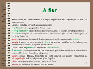 A florA flor
Assim como nas gimnospermas, é o órgão responsável pela reprodução sexuada das
angiospermas.
Uma flor completa apresenta as seguintes partes:
pedúnculo: haste que prende a flor ao caule.
receptáculo floral: parte dilatada do pedúnculo, onde se inserem os verticilos florais.
verticilo: conjunto de folhas modificadas, relacionadas à proteção de outros órgãos. Os
verticilos florais são:
•cálice: conjunto de folhas modificadas, geralmente verdes, denominadas sépalas.
•corola: formada por um conjunto de pétalas, geralmente coloridas, auxilia indiretamente
na reprodução, atraindo os agentes polinizadores.
Dá-se o nome de perianto ao conjunto de cálice e corola.
androceu: parte masculina da flor, constituída por folhas modificadas, denominadas
estames. O estame é formado de três partes:
•antera: porção dilatada, localizada na parte superior do estame, corresponde ao
microsporângio, onde se originam os grãos de pólen.
•filete: haste que prende a antera ao receptáculo floral.
•conectivo: tecido que une as duas parte da antera.
251
 
