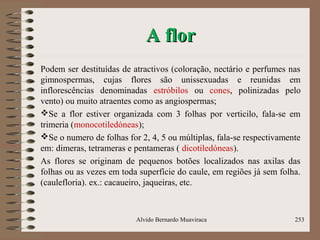 A florA flor
Podem ser destituídas de atractivos (coloração, nectário e perfumes nas
gimnospermas, cujas flores são unissexuadas e reunidas em
inflorescências denominadas estróbilos ou cones, polinizadas pelo
vento) ou muito atraentes como as angiospermas;
Se a flor estiver organizada com 3 folhas por verticilo, fala-se em
trimeria (monocotiledóneas);
Se o numero de folhas for 2, 4, 5 ou múltiplas, fala-se respectivamente
em: dimeras, tetrameras e pentameras ( dicotiledóneas).
As flores se originam de pequenos botões localizados nas axilas das
folhas ou as vezes em toda superfície do caule, em regiões já sem folha.
(caulefloria). ex.: cacaueiro, jaqueiras, etc.
Alvido Bernardo Muaviraca 253
 
