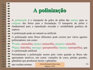 A polinizaçãoA polinização
A polinização é o transporte de grãos de pólen das anteras para os
estigmas das flores para a fecundação. O transporte do pólen é
fundamental para a reprodução sexuada e variabilidade genética da
espécie.
A polinização pode ser natural ou artificial.
A polinização entre flores diferentes pode ocorrer por vários agentes
polinizadores, tais como:
vento: anemofilia; insetos: entomofilia, pássaros: ornitofilia
água: hidrofilia; morcego: quiropterofilia; homem: (antropofilia), que
é a polinização artificial.
Normalmente a polinização ocorre pelo vento quando as flores não
apresentam atrativos, tais como: variações de cores, pétalas grandes,
glândulas que produzem néctar e glândulas
que exalam aromas. Alvido Bernardo Muaviraca
Maputo, 2014
256
 