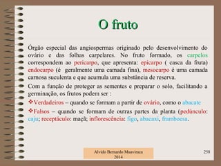 O frutoO fruto
Órgão especial das angiospermas originado pelo desenvolvimento do
ovário e das folhas carpelares. No fruto formado, os carpelos
correspondem ao pericarpo, que apresenta: epicarpo ( casca da fruta)
endocarpo (é geralmente uma camada fina), mesocarpo é uma camada
carnosa suculenta e que acumula uma substância de reserva.
Com a função de proteger as sementes e preparar o solo, facilitando a
germinação, os frutos podem ser :
Verdadeiros – quando se formam a partir de ovário, como o abacate
Falsos – quando se formam de outras partes da planta (pedúnculo:
caju; receptáculo: maçã; inflorescência: figo, abacaxi, framboesa.
Alvido Bernardo Muaviraca
2014
258
 