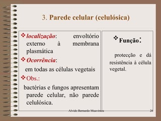 3. Parede celular (celulósica)
localização: envoltório
externo à membrana
plasmática
Ocorrência:
em todas as células vegetais
Obs.:
bactérias e fungos apresentam
parede celular, não parede
celulósica.
Função:
protecção e dá
resistência à célula
vegetal.
26Alvido Bernardo Muaviraca
 