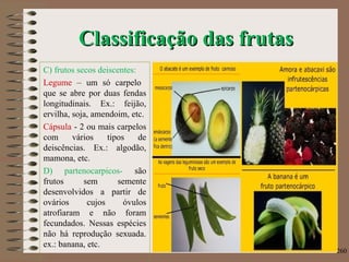 Classificação das frutasClassificação das frutas
C) frutos secos deiscentes:
Legume – um só carpelo
que se abre por duas fendas
longitudinais. Ex.: feijão,
ervilha, soja, amendoim, etc.
Cápsula - 2 ou mais carpelos
com vários tipos de
deiscências. Ex.: algodão,
mamona, etc.
D) partenocarpicos- são
frutos sem semente
desenvolvidos a partir de
ovários cujos óvulos
atrofiaram e não foram
fecundados. Nessas espécies
não há reprodução sexuada.
ex.: banana, etc.
260
 