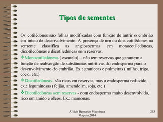 Tipos de sementesTipos de sementes
Os cotilédones são folhas modificadas com função de nutrir o embrião
em início de desenvolvimento. A presença de um ou dois cotilédones na
semente classifica as angiospermas em monocotiledóneas,
dicotiledóneas e dicotiledóneas sem reservas.
Monocotiledóneas ( escutelo) – não tem reservas que garantem a
função de reabsorção de substâncias nutritivas do endosperma para o
desenvolvimento do embrião. Ex.: graniceas e palmeiras ( milho, trigo,
coco, etc.)
Dicotiledóneas- são ricos em reservas, mas o endosperma reduzido.
ex.: leguminosas (feijão, amendoim, soja, etc.)
Dicotiledóneas sem reservas - com endosperma muito desenvolvido,
rico em amido e óleos. Ex.: mamonas.
Alvido Bernardo Muaviraca
Maputo,2014
263
 