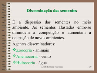 Disseminação das sementesDisseminação das sementes
É a dispersão das sementes no meio
ambiente. As sementes afastadas entre-se
diminuem a competição e aumentam a
ocupação de novos ambientes.
Agentes disseminadores:
Zoocoria - animais
Anemocoria - vento
Hidrocoria - água
Alvido Bernardo Muaviraca 264
 