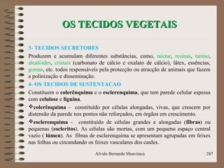 OS TECIDOS VEGETAISOS TECIDOS VEGETAIS
3- TECIDOS SECRETORES
Produzem e acumulam diferentes substâncias, como, néctar, resinas, tanino,
alcalóides, cristais (carbonato de cálcio e oxalato de cálcio), látex, essências,
gomas, etc. todos responsáveis pela protecção ou atracção de animais que fazem
a polinização e disseminação.
4- OS TECIDOS DE SUSTENTACAO
Constituem o colerênquima e o esclerenquima, que tem parede celular espessa
com celulose e lignina.
colerênquima - constituído por células alongadas, vivas, que crescem por
distensão da parede nos pontos não reforçados, em órgãos em crescimento.
esclerenquima - constituído de células grandes e alongadas (fibras) ou
pequenas (escleritos). As células são mortas, com um pequeno espaço central
vazio ( lúmen). As fibras de esclerenquima se apresentam agrupadas em feixes
nas folhas ou circundando os feixes vasculares dos caules.
Alvido Bernardo Muaviraca 287
 