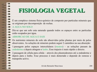 FISIOLOGIA VEGETALFISIOLOGIA VEGETAL
É um complexo sistema físico-químico de composto por partículas minerais que
se originam por decomposição de rochas.
A AGUA NO SOLO
Diz-se que um solo esta saturado quando todos os espaços entre as partículas
estão ocupados por água.
ABSORCAO DE AGUA E SAIS
Os nutrientes minerais do solo são absorvidos pelas plantas por meio de pelos
absorventes. As soluções de minerais podem seguir 2 caminhos na sua absorção:
1.passagem pelos espaços intercelulares (meatos) – as soluções passam da
endoderme e depois atingem o lenho. Esse trajecto é mais rápido e directo.
2.passagem de célula para célula – através dos plasmodesmos até a endoderme e
depois para o lenho. Esse processo é mais demorado e depende de osmose e
transporte activo.
Alvido Bernardo Muaviraca 288
 