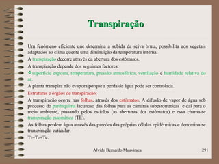 TranspiraçãoTranspiração
Um fenómeno eficiente que determina a subida da seiva bruta, possibilita aos vegetais
adaptados ao clima quente uma diminuição da temperatura interna.
A transpiração decorre através da abertura dos estómatos.
A transpiração depende dos seguintes factores:
superfície exposta, temperatura, pressão atmosférica, ventilação e humidade relativa do
ar.
A planta transpira não evapora porque a perda de água pode ser controlada.
Estruturas e órgãos de transpiração:
A transpiração ocorre nas folhas, através dos estómatos. A difusão de vapor de água sob
processo do parênquima lacunoso das folhas para as câmaras subestomaticas e dai para o
meio ambiente, passando pelos estiolos (as aberturas dos estómatos) e essa chama-se
transpiração estomática (TE).
As folhas perdem água através das paredes das próprias células epidérmicas e denomina-se
transpiração cuticular.
Tt=Te+Tc.
Alvido Bernardo Muaviraca 291
 