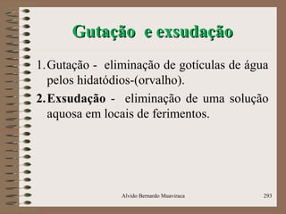 Gutação e exsudaçãoGutação e exsudação
1.Gutação - eliminação de gotículas de água
pelos hidatódios-(orvalho).
2.Exsudação - eliminação de uma solução
aquosa em locais de ferimentos.
Alvido Bernardo Muaviraca 293
 