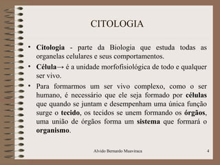CITOLOGIA
• Citologia - parte da Biologia que estuda todas as
organelas celulares e seus comportamentos.
• Célula→ é a unidade morfofisiológica de todo e qualquer
ser vivo.
• Para formarmos um ser vivo complexo, como o ser
humano, é necessário que ele seja formado por células
que quando se juntam e desempenham uma única função
surge o tecido, os tecidos se unem formando os órgãos,
uma união de órgãos forma um sistema que formará o
organismo.
4Alvido Bernardo Muaviraca
 