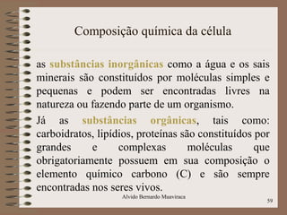 Composição química da célula
as substâncias inorgânicas como a água e os sais
minerais são constituídos por moléculas simples e
pequenas e podem ser encontradas livres na
natureza ou fazendo parte de um organismo.
Já as substâncias orgânicas, tais como:
carboidratos, lipídios, proteínas são constituídos por
grandes e complexas moléculas que
obrigatoriamente possuem em sua composição o
elemento químico carbono (C) e são sempre
encontradas nos seres vivos.
59
Alvido Bernardo Muaviraca
 