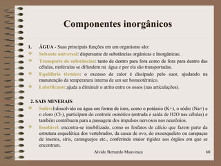 Componentes inorgânicos
1. ÁGUA - Suas principais funções em um organismo são:
 Solvente universal: dispersante de substâncias orgânicas e Inorgânicas;
 Transporte de substâncias: tanto de dentro para fora como de fora para dentro das
células, moléculas se difundem na água e por ela são transportadas.
 Equilíbrio térmico: o excesso de calor é dissipado pelo suor, ajudando na
manutenção da temperatura interna de um ser homeotérmico.
 Lubrificante:ajuda a diminuir o atrito entre os ossos (nas articulações).
2. SAIS MINERAIS
 Solúvel:dissolvido na água em forma de íons, como o potássio (K+), o sódio (Na+) e
o cloro (Cl-), participam do controle osmótico (entrada e saída de H2O nas células) e
também contribuem para a passagem dos impulsos nervosos nos neurônios.
 Insolúvel: encontra-se imobilizado, como os fosfatos de cálcio que fazem parte da
estrutura esquelética dos vertebrados, da casca de ovo, do exoesqueleto ou carapaças
de insetos, siris, caranguejos etc., conferindo maior rigidez aos órgãos em que se
encontram.
60Alvido Bernardo Muaviraca
 
