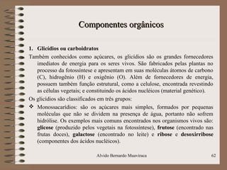 Componentes orgânicosComponentes orgânicos
1. Glicídios ou carboidratos
Também conhecidos como açúcares, os glicídios são os grandes fornecedores
imediatos de energia para os seres vivos. São fabricados pelas plantas no
processo da fotossíntese e apresentam em suas moléculas átomos de carbono
(C), hidrogênio (H) e oxigênio (O). Além de fornecedores de energia,
possuem também função estrutural, como a celulose, encontrada revestindo
as células vegetais; e constituindo os ácidos nucléicos (material genético).
Os glicídios são classificados em três grupos:
 Monossacarídios: são os açúcares mais simples, formados por pequenas
moléculas que não se dividem na presença de água, portanto não sofrem
hidrólise. Os exemplos mais comuns encontrados nos organismos vivos são:
glicose (produzido pelos vegetais na fotossíntese), frutose (encontrado nas
frutas doces), galactose (encontrado no leite) e ribose e desoxirribose
(componentes dos ácidos nucléicos).
62Alvido Bernardo Muaviraca
 